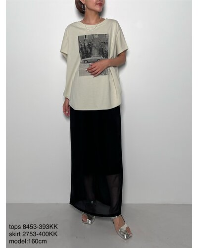 PHOTOドルマンCS /8453-393KK